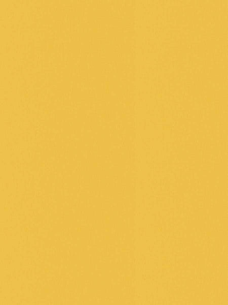Solar Sheen, Color Solar Satin Mango Fabric 57" Wide # 5
