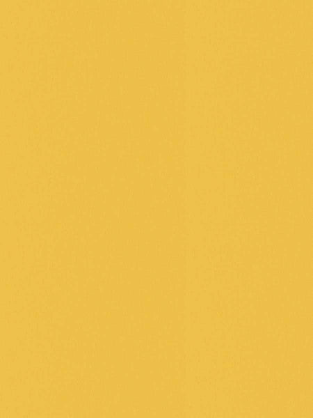 Solar Sheen, Color Solar Satin Mango Fabric 57" Wide # 5
