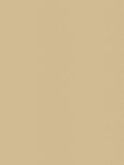 Solar Sheen, Color Solar Satin Antelope Fabric 57" Wide # 12