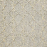 Latest Craze Embroidered Fabric
