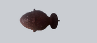 Decorative brown finial