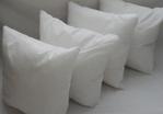 https://www.wayfair.ca/decor-pillows/pdp/alwyn-home-solid-sterilized-extra-fill-hypoallergenic-pillow-insert-anew3124.html