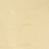DUPIONI 23 Champagne Fabric, Drapery King Toronto
